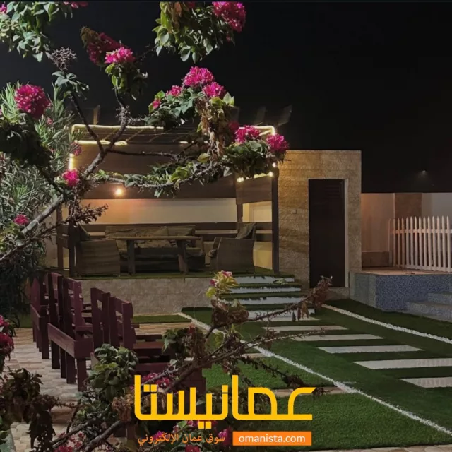 صورة 2
