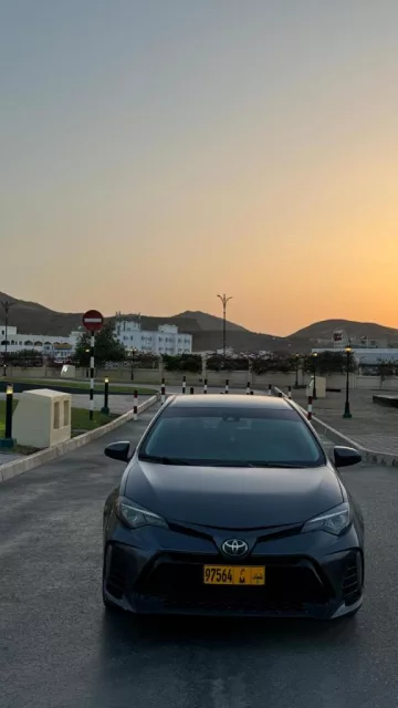 صورة 7