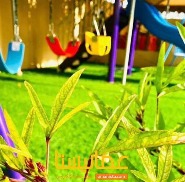صورة 3