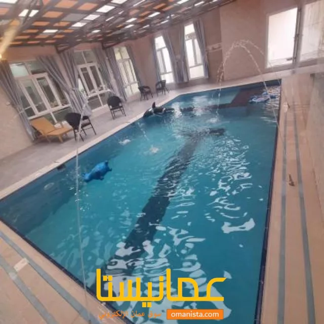 صورة 2