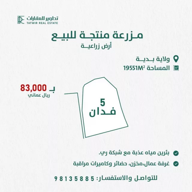 صورة 2