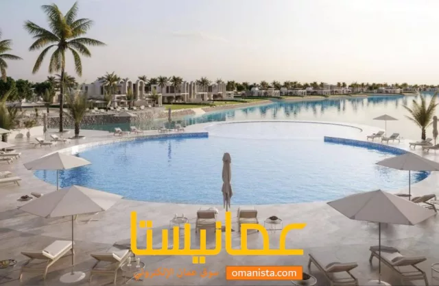 صورة 3