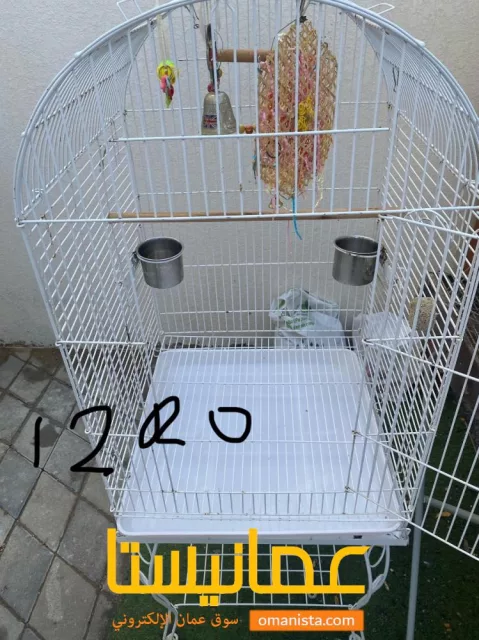 صورة 6