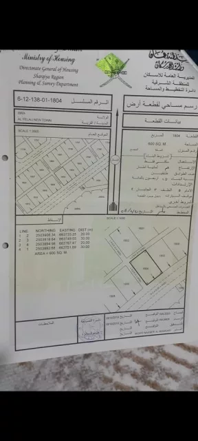 صورة 3