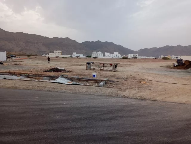 صورة 4