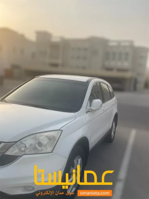 صورة 3