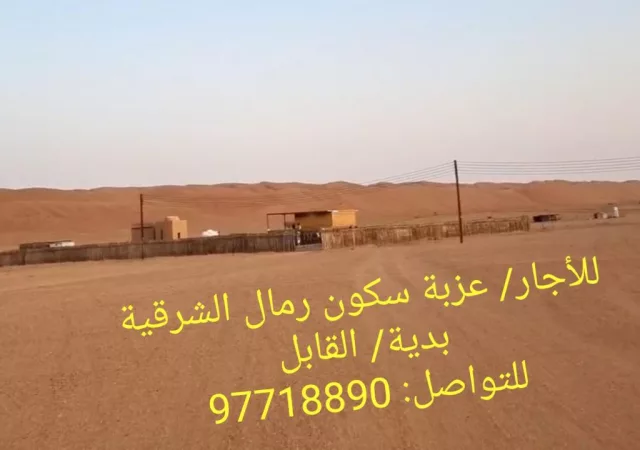 صورة 4