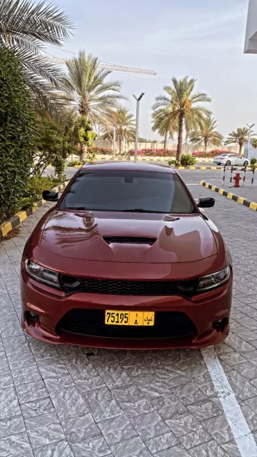 صورة 6