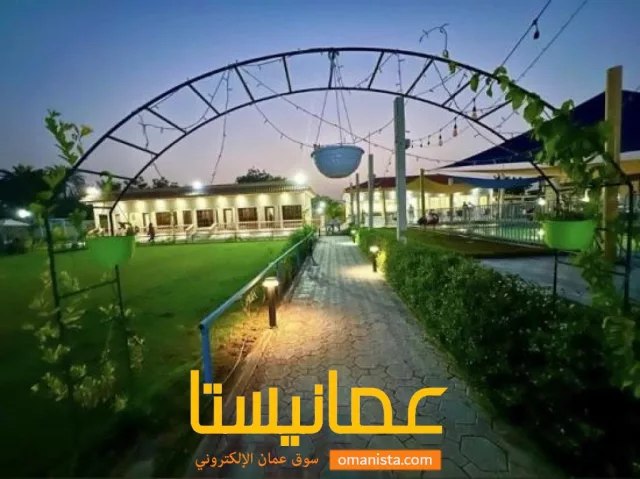 صورة 4