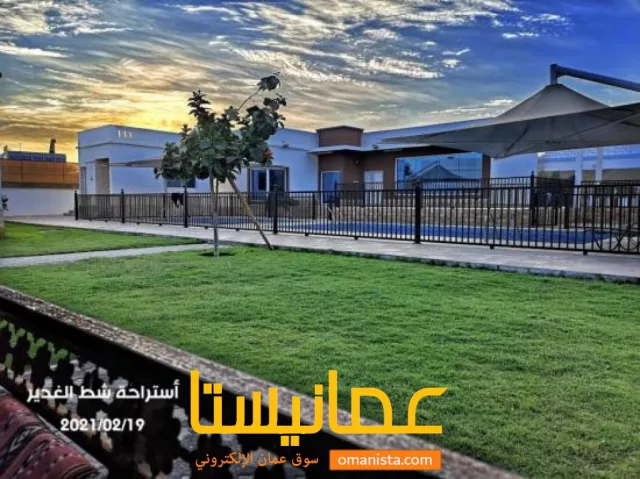 صورة 2