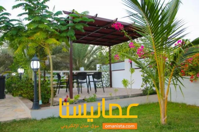 صورة 4
