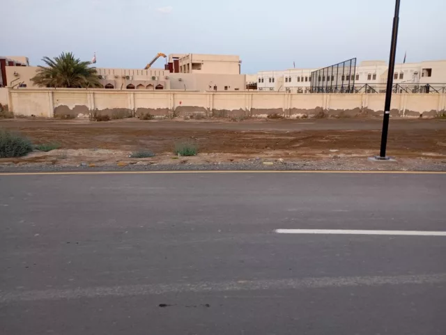 صورة 3