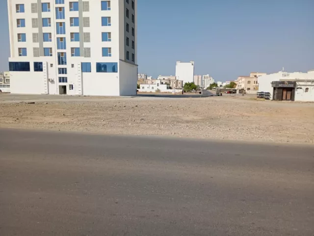 صورة 3