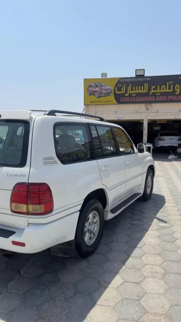صورة 3