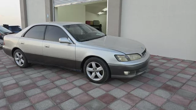 صورة 2