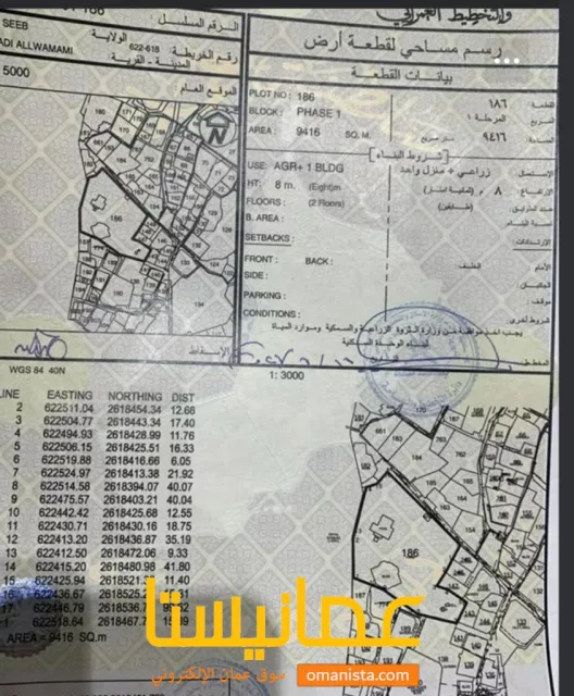 صورة 2