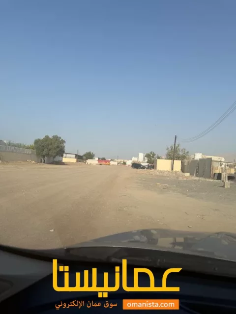 صورة 3