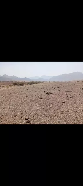 للبيع أرض سكنية في العامرات الامتداد الاول سوبر كورنر