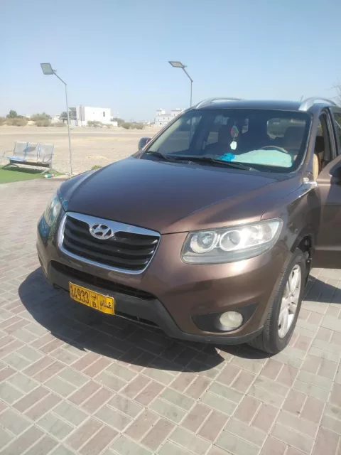 صورة 3