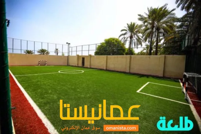 صورة 8