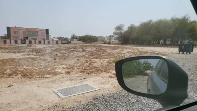 صورة 3