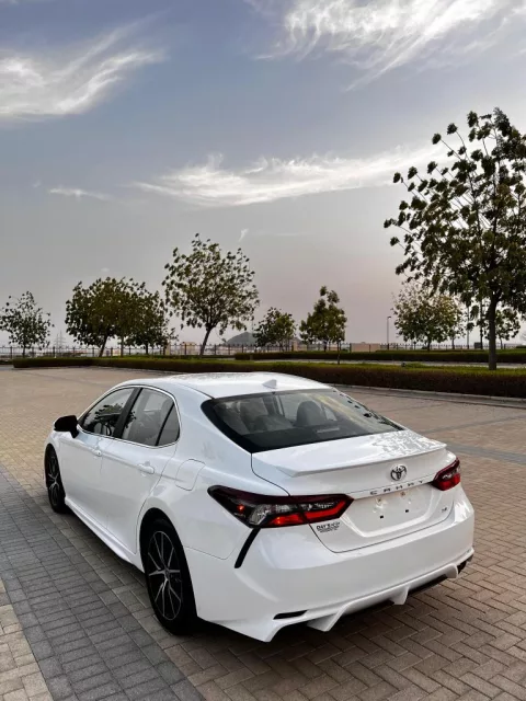 صورة 7