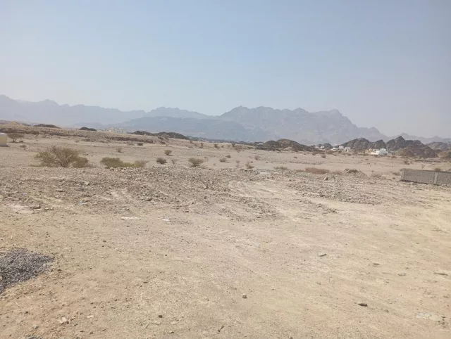 صورة 4