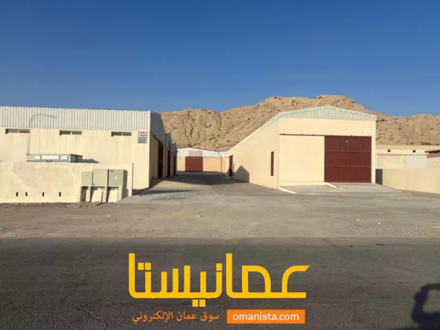 صورة 3