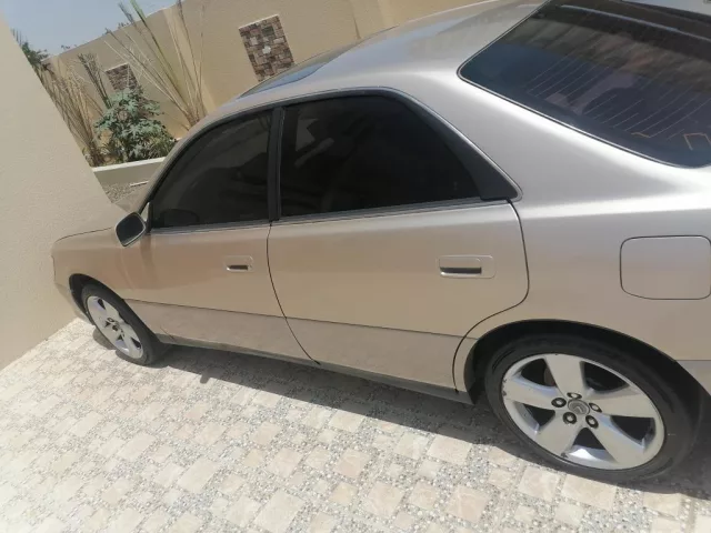 صورة 2