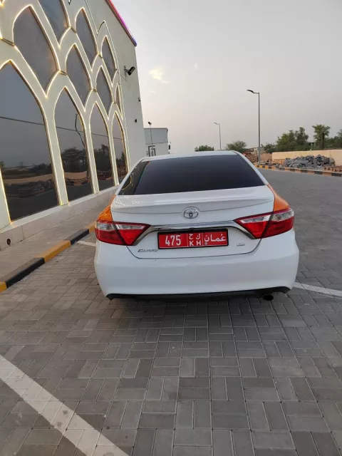 صورة 4
