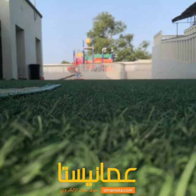 صورة 6