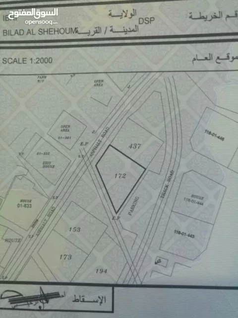 صورة 4