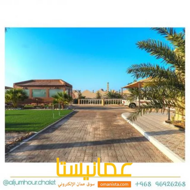 صورة 7