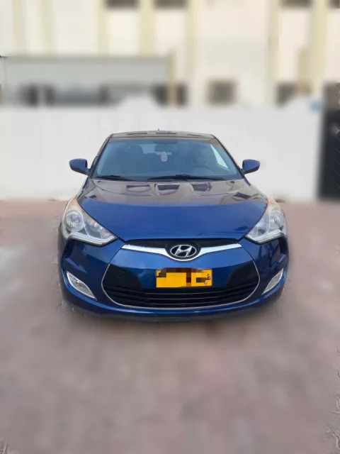 صورة 6