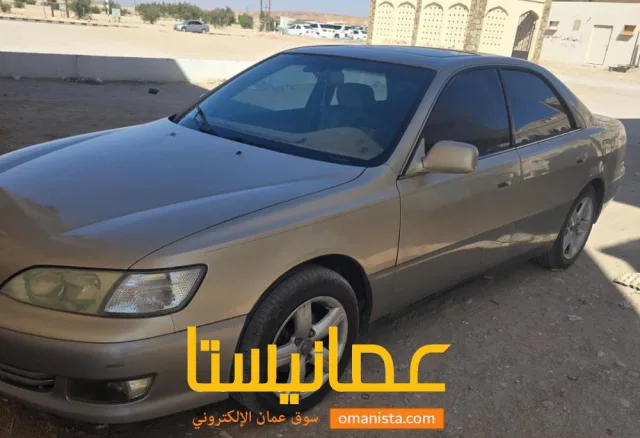 صورة 9