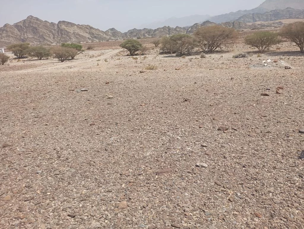 للبيع أرض سكنية في  مدينة النهضة امتداد الأول