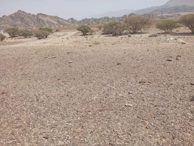 للبيع أرض سكنية في  مدينة النهضة امتداد الأول