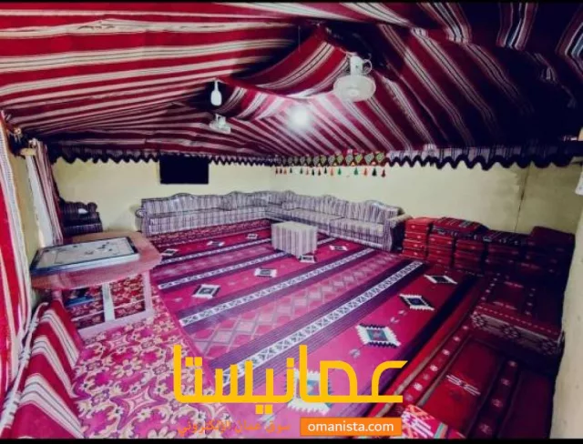 صورة 5