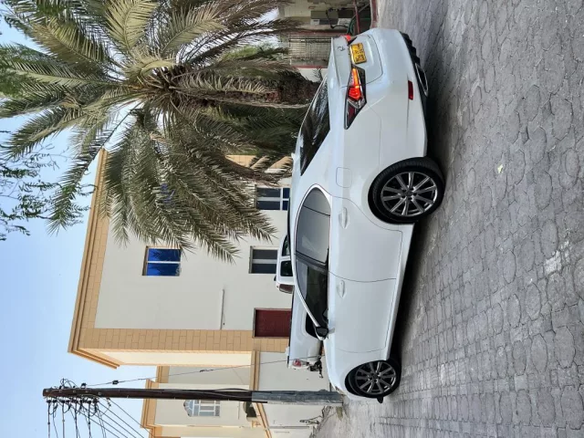 صورة 3