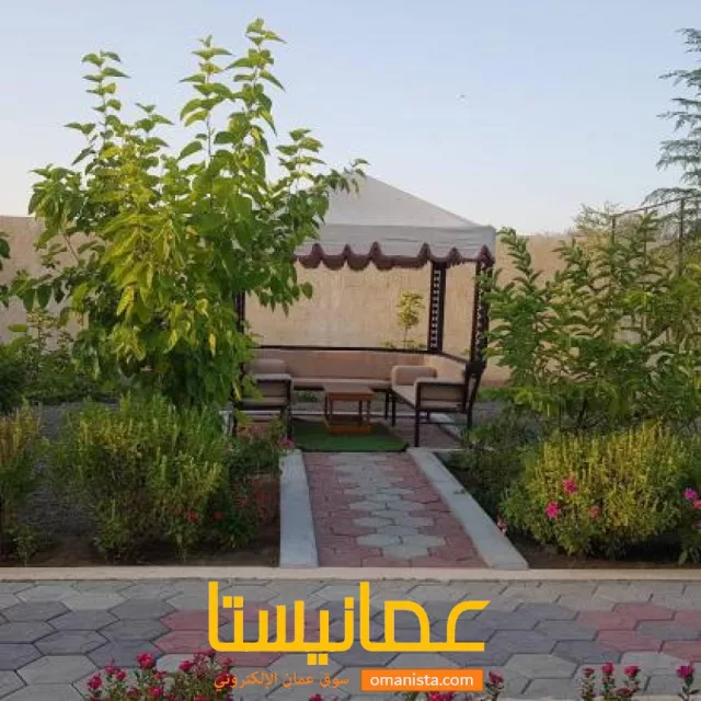 صورة 9