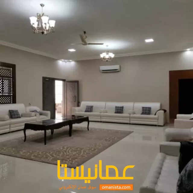 صورة 6