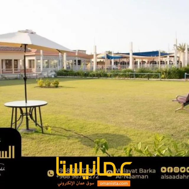 صورة 6