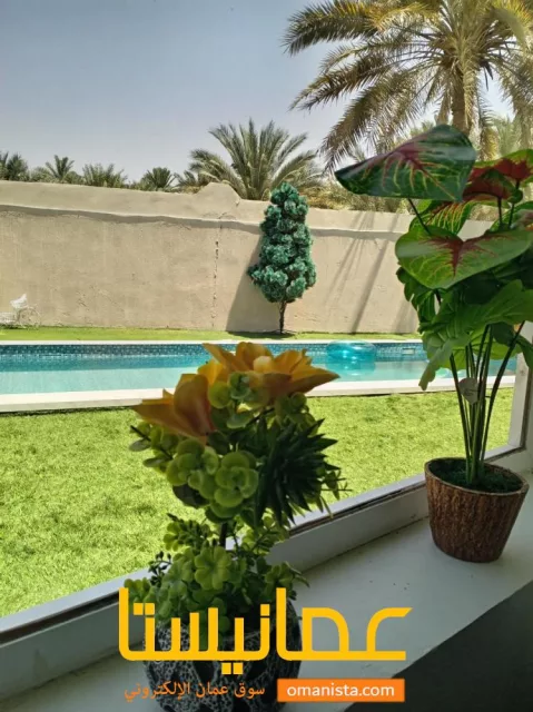فله قرب حجره الشيخ