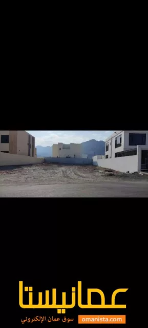 صورة 3