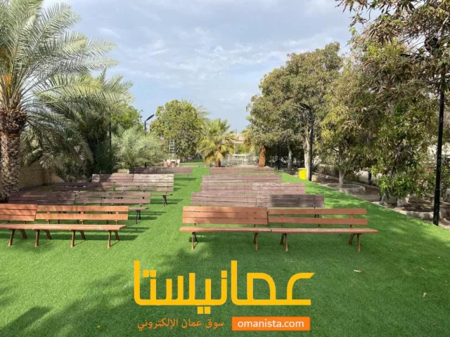 صورة 3