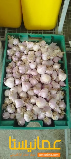 صورة 3