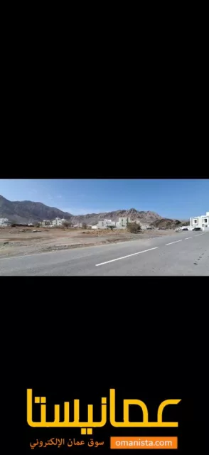 صورة 3