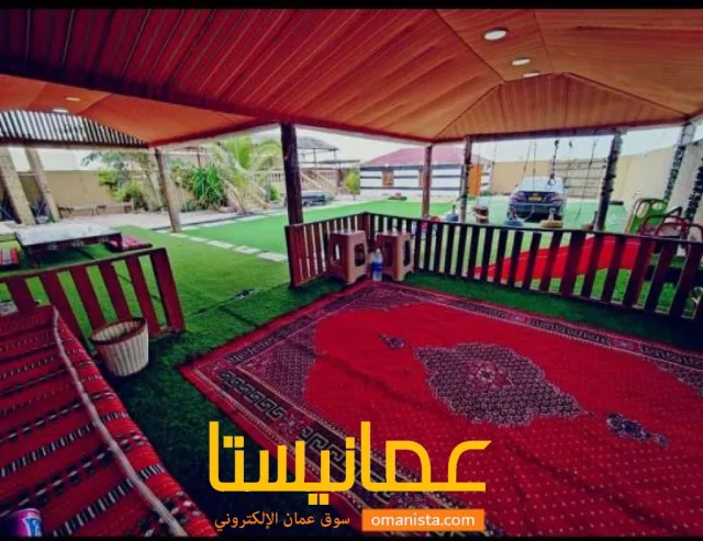 صورة 10