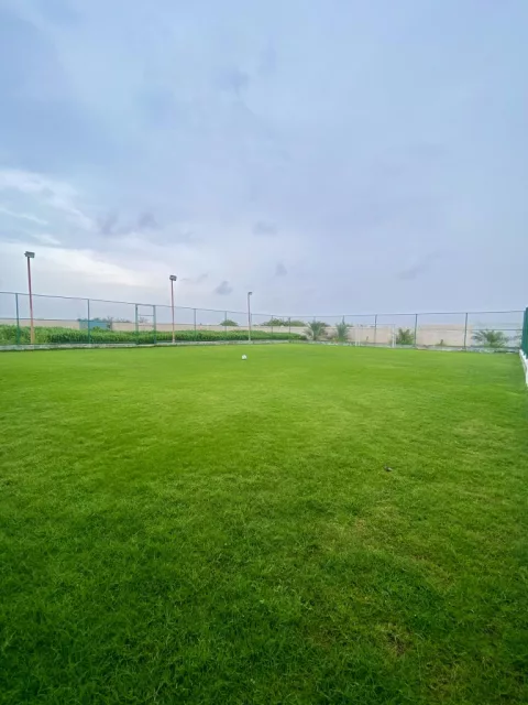 صورة 9