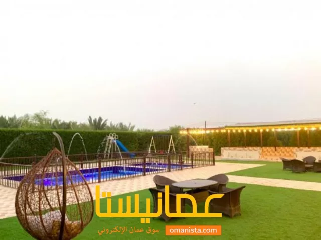 صورة 3